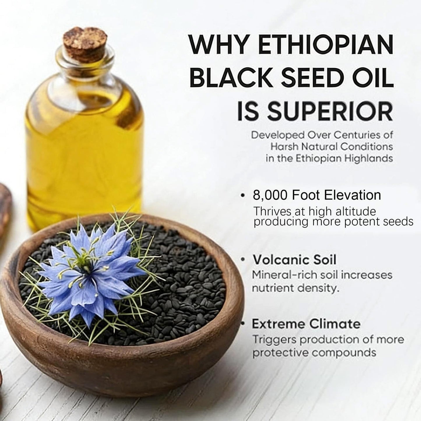 Purely Nutrient Ethiopian Black Seed Oil Capsule 1 Count