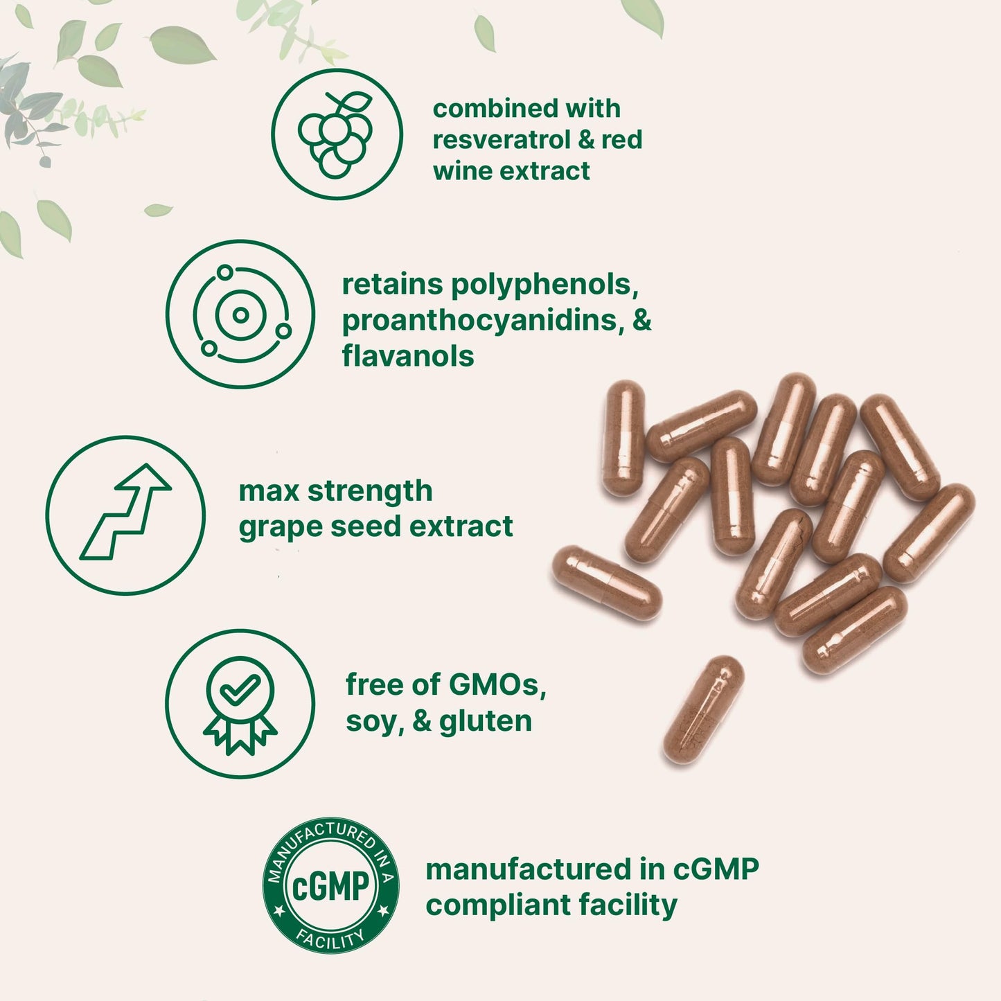 Micro Ingredients Grape Seed Extract Capsules, 240