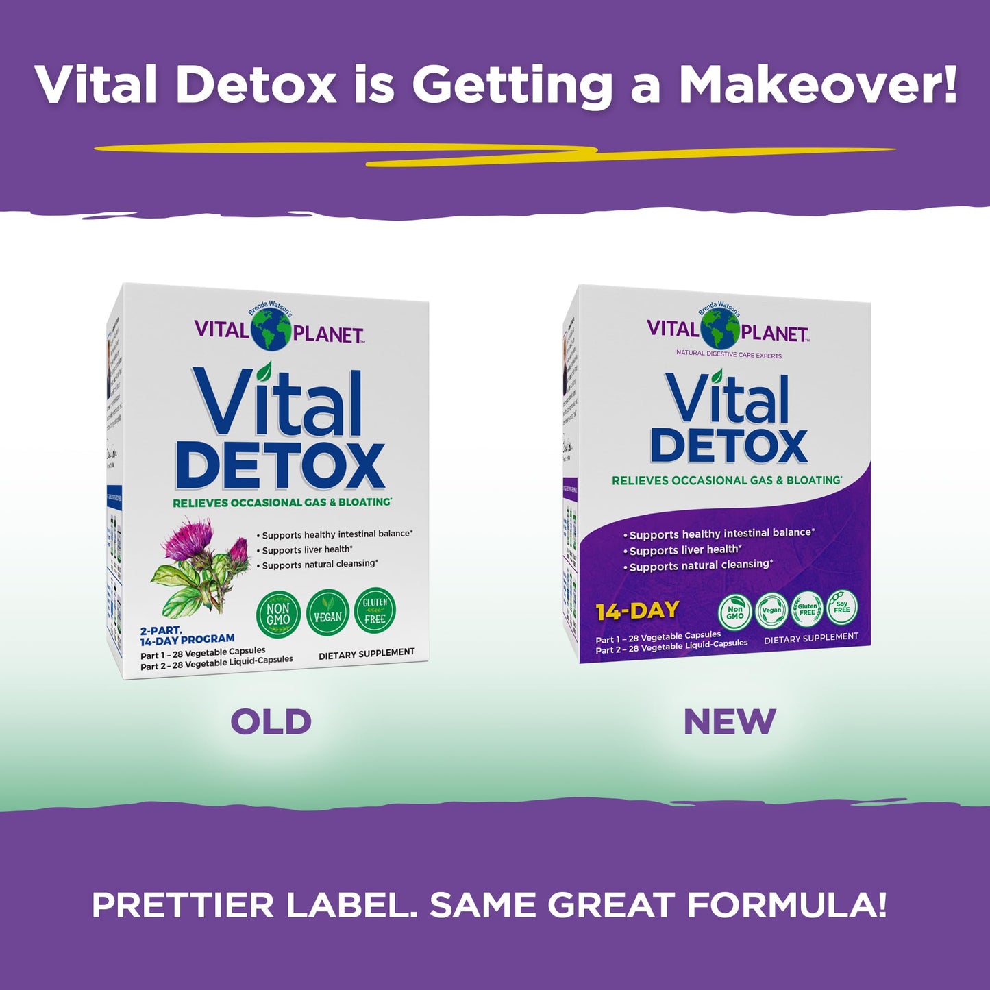 Vital Planet Vital Detox with Milk Thistle, Quercetin, Alpha Lipoic Acid, Choline, and Herbs Capsules, 56 Count