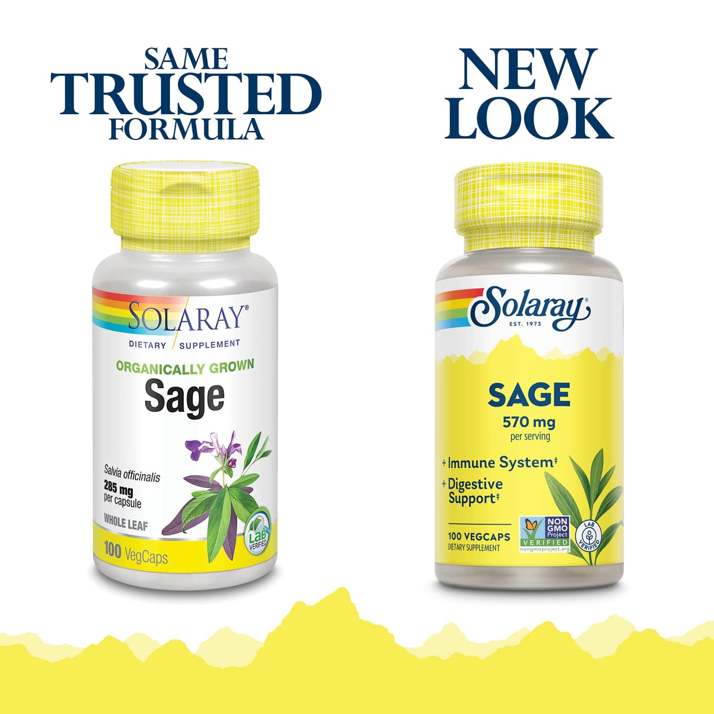Solaray Sage Leaves Supplement for Women & Men - Sage Leaf Capsules, Natural Herbal Support for Immune System, 570 mg, Non-GMO, 100 Veg Caps