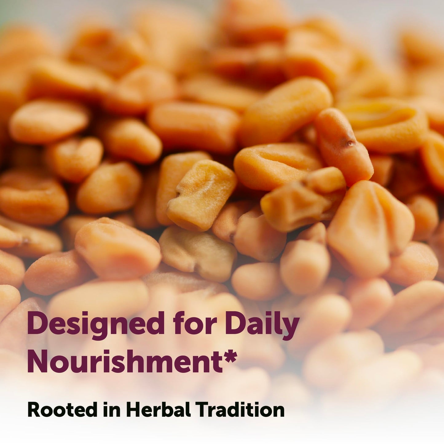 Micro Ingredients Fenugreek with Sunflower Lecithin Softgels 360