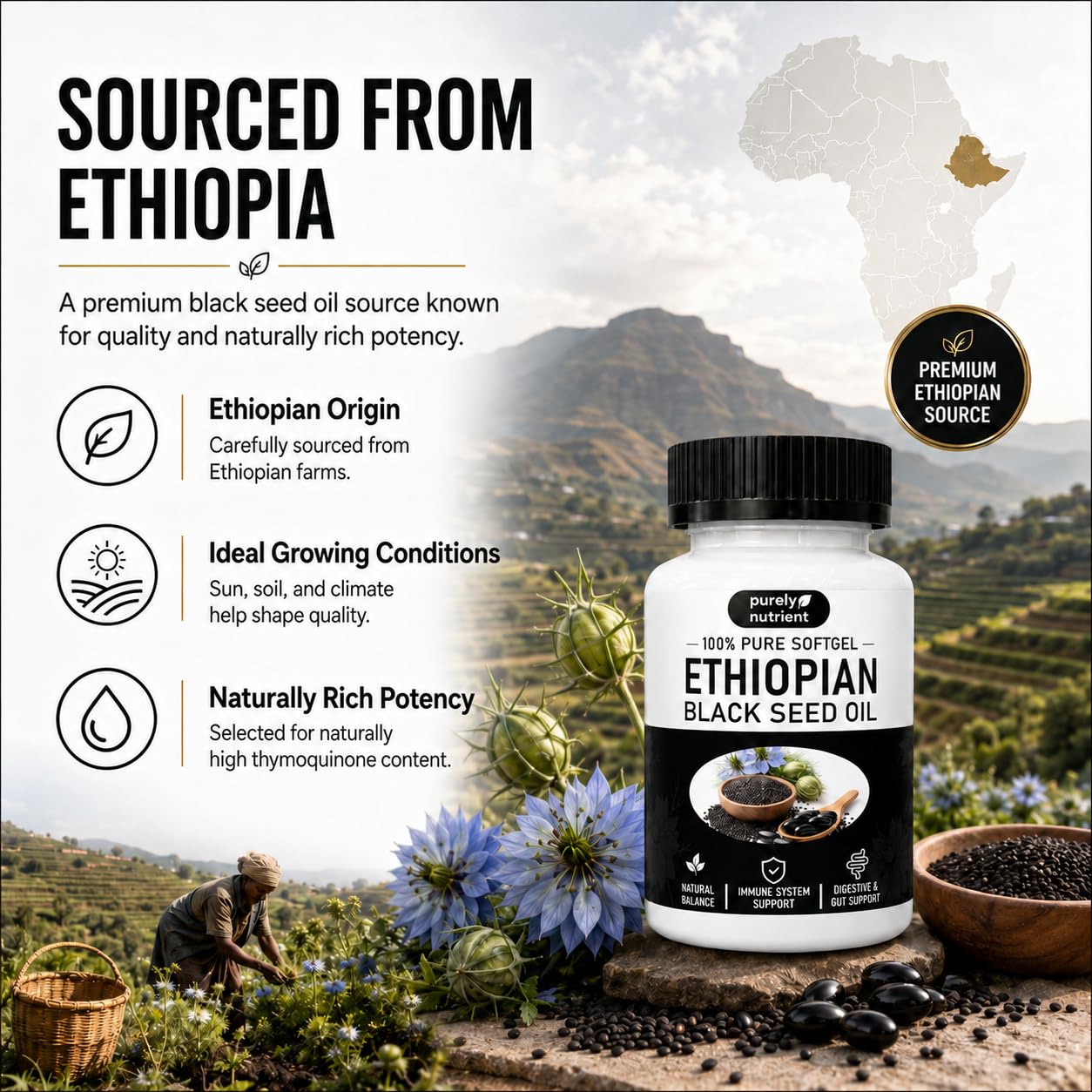 Peehss Purely Nutrient Ethiopian Black Seed Oil Softgels, 60 Count