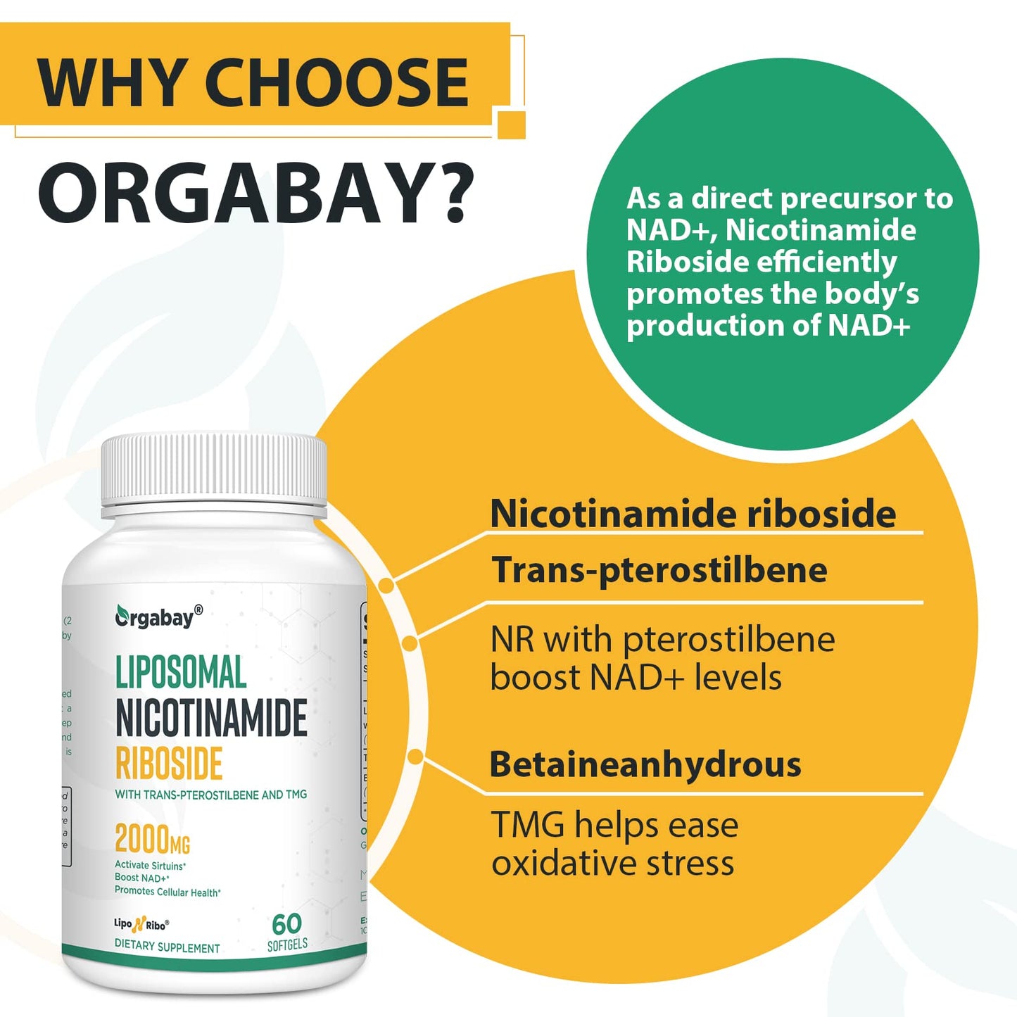 Orgabay Liposomal Nicotinamide Riboside 2000 mg with TMG and Pterostilbene Softgel, 60 Count