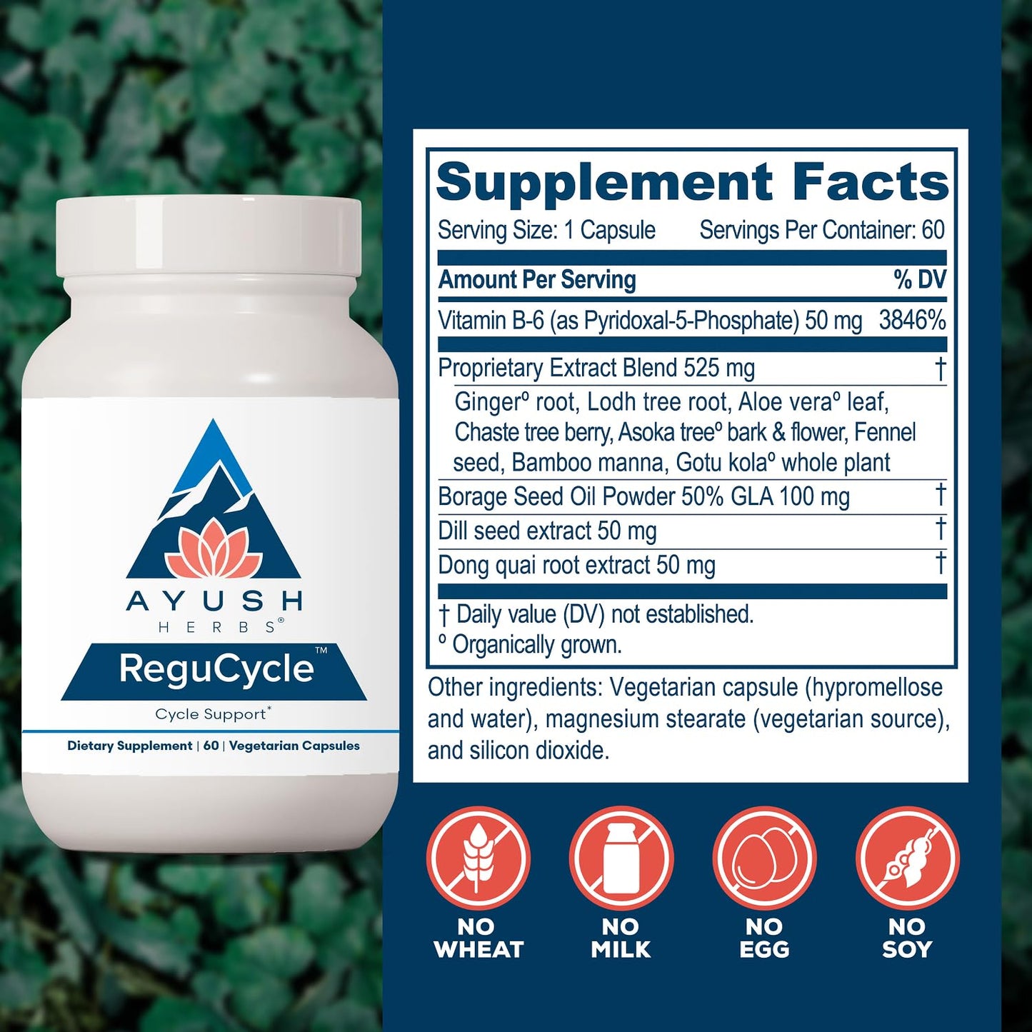 Ayush Herbs Regu-Cycle Hormone Balance for Women Capsule 60 Count