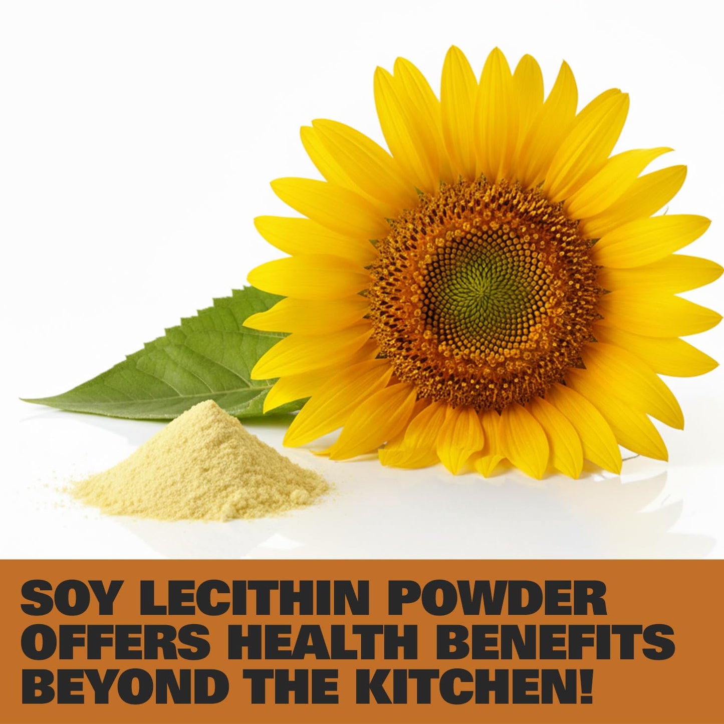 Hampton Distribution Soy Lecithin Powder 16 oz
