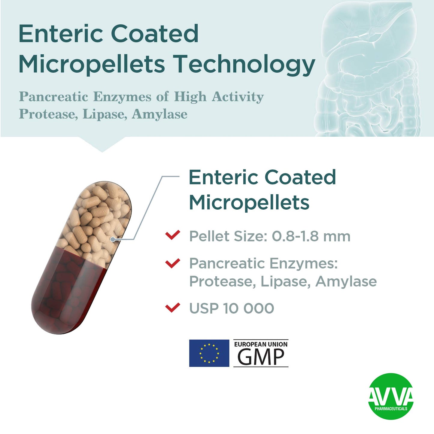 Micrazym AVVA Pharma Pancreatic Enzymes Capsules, 50 Count