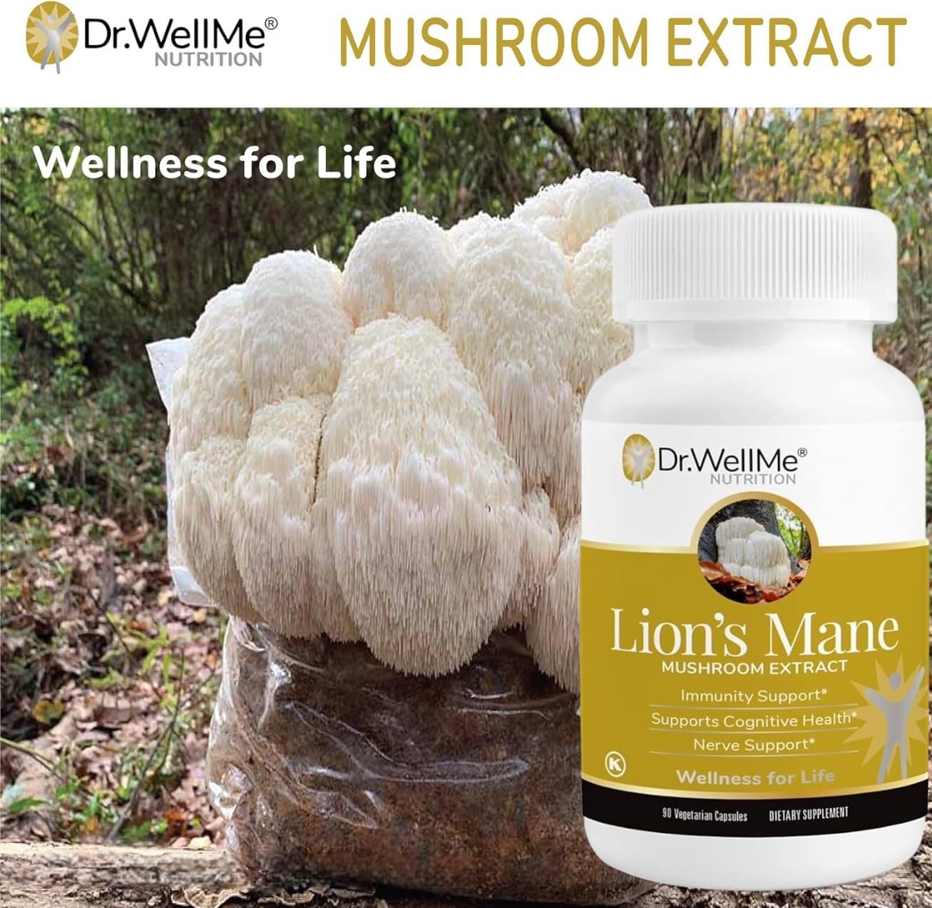 DR WELLME NUTRITION Organic Lion's Mane Mushroom Capsules, 90 Count