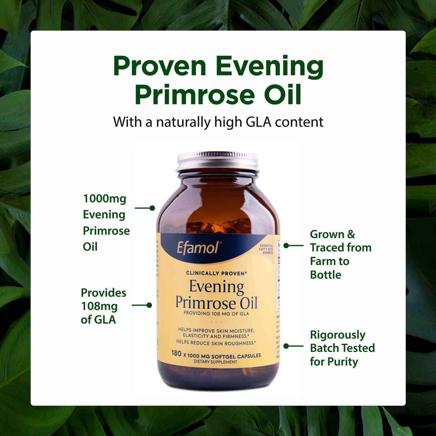 Flora Efamol Pure Evening Primrose Oil Capsule 180 Count