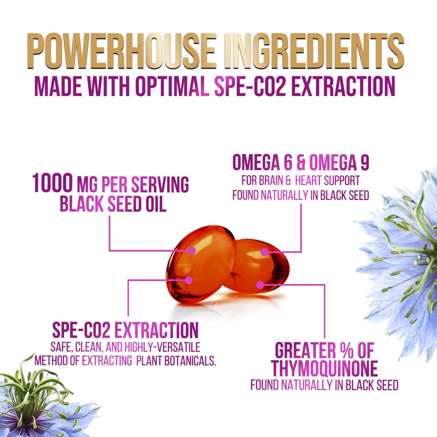 Nature's Peak Black Seed Oil Softgels 60 Count
