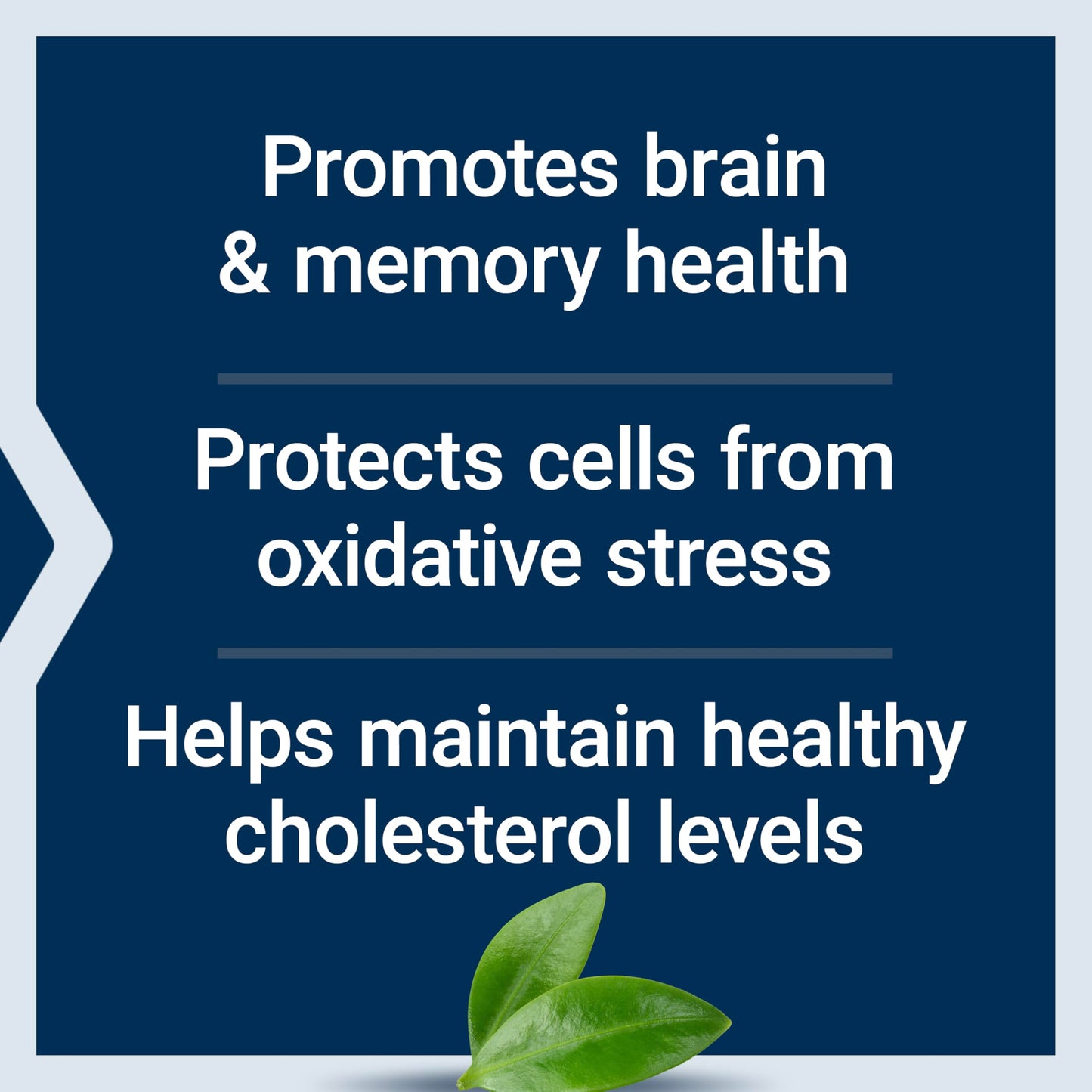 Life Extension Blueberry Extract Capsules, 60 Capsules