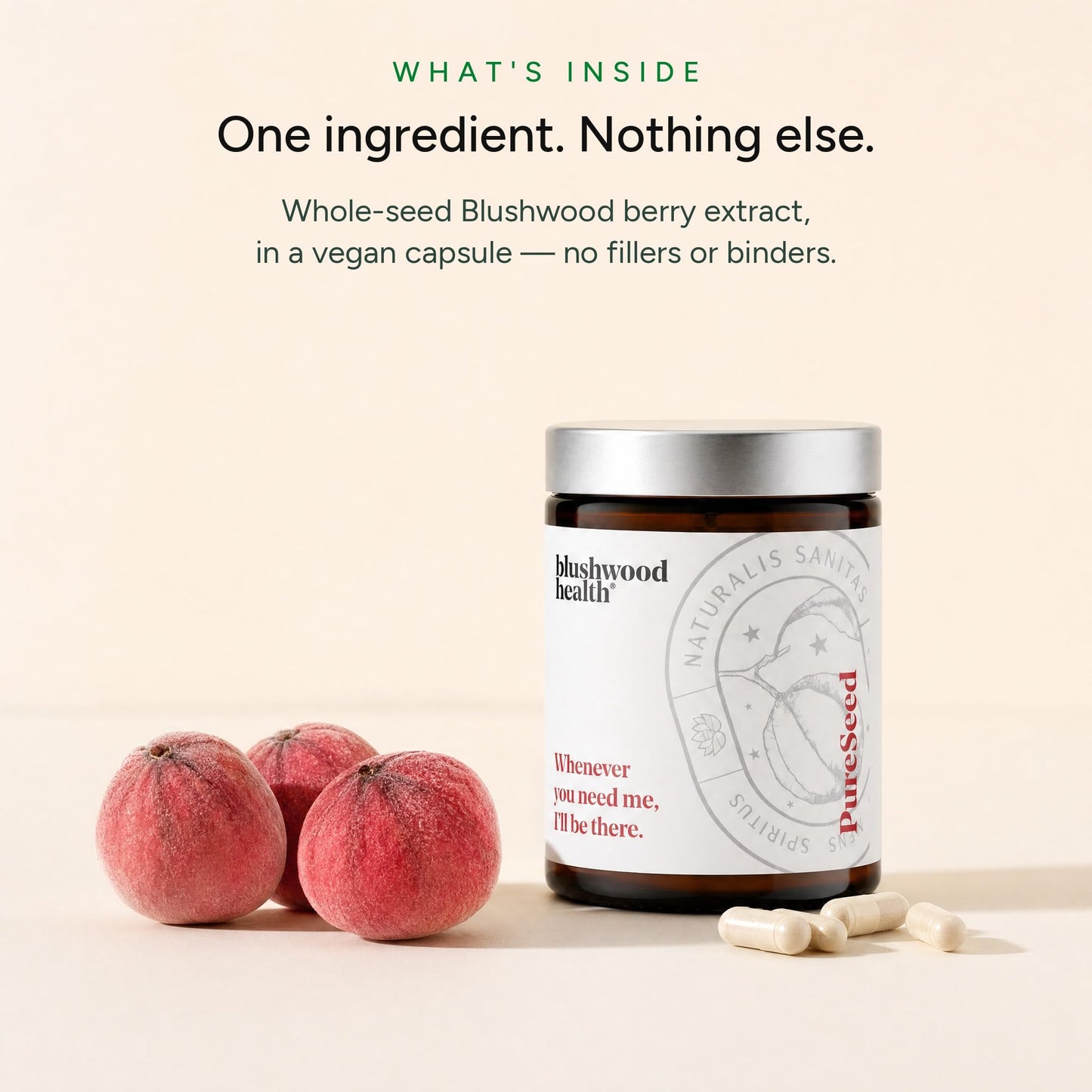 Blushwood Health Blushwood Berry Extract Capsule 90 Count