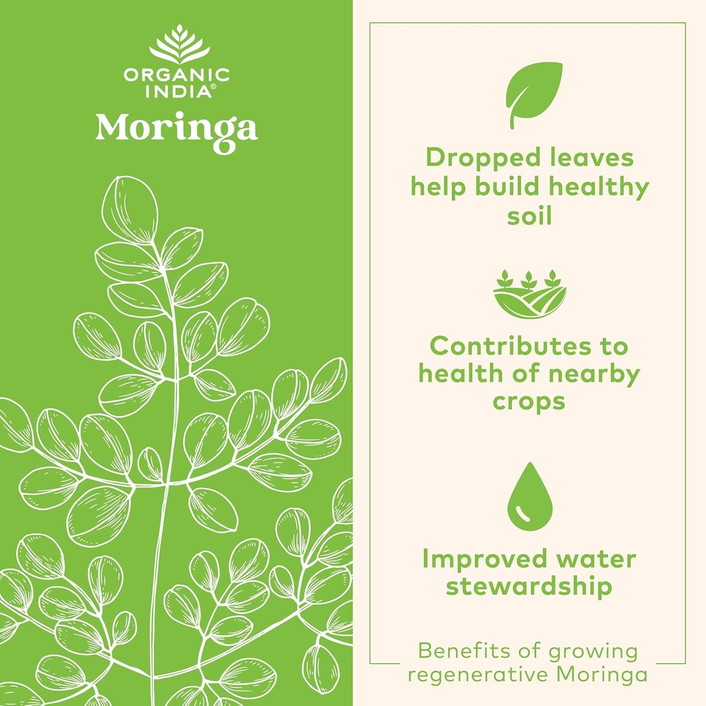 ORGANIC INDIA Moringa Powder - Moringa Oleifera Leaf Herbal Supplement, 16-Count
