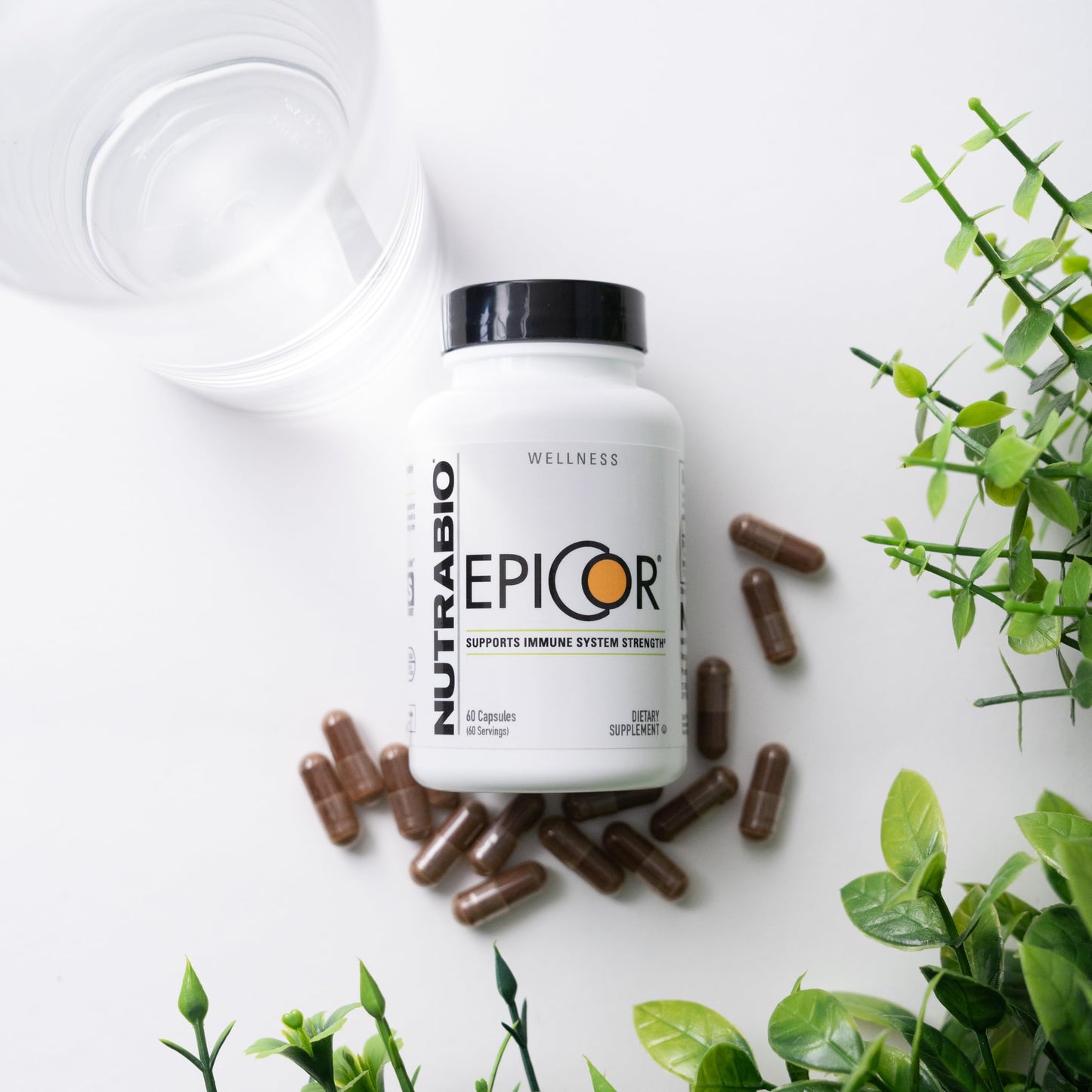 NutraBio Epicor Multi Vitamin Capsule, 60 Count