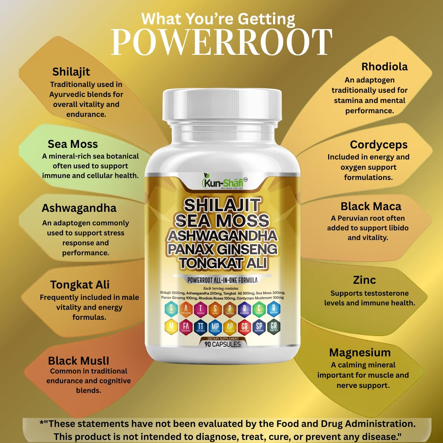 Kun Shafi Shilajit Complex Capsules, 90 Capsules