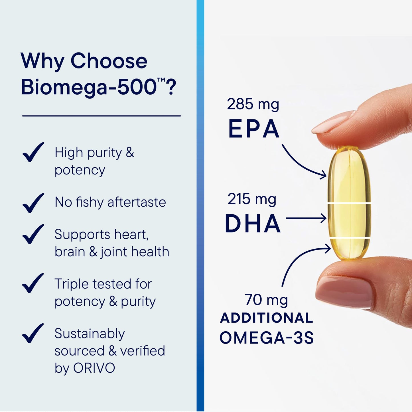 Biotics Research Biomega 500 Omega 3 Fish Oil Supplement Softgel 90