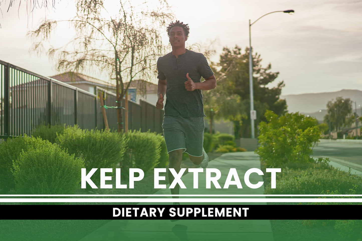 Pure Original Ingredients Kelp Extract Capsules, 365 Capsules