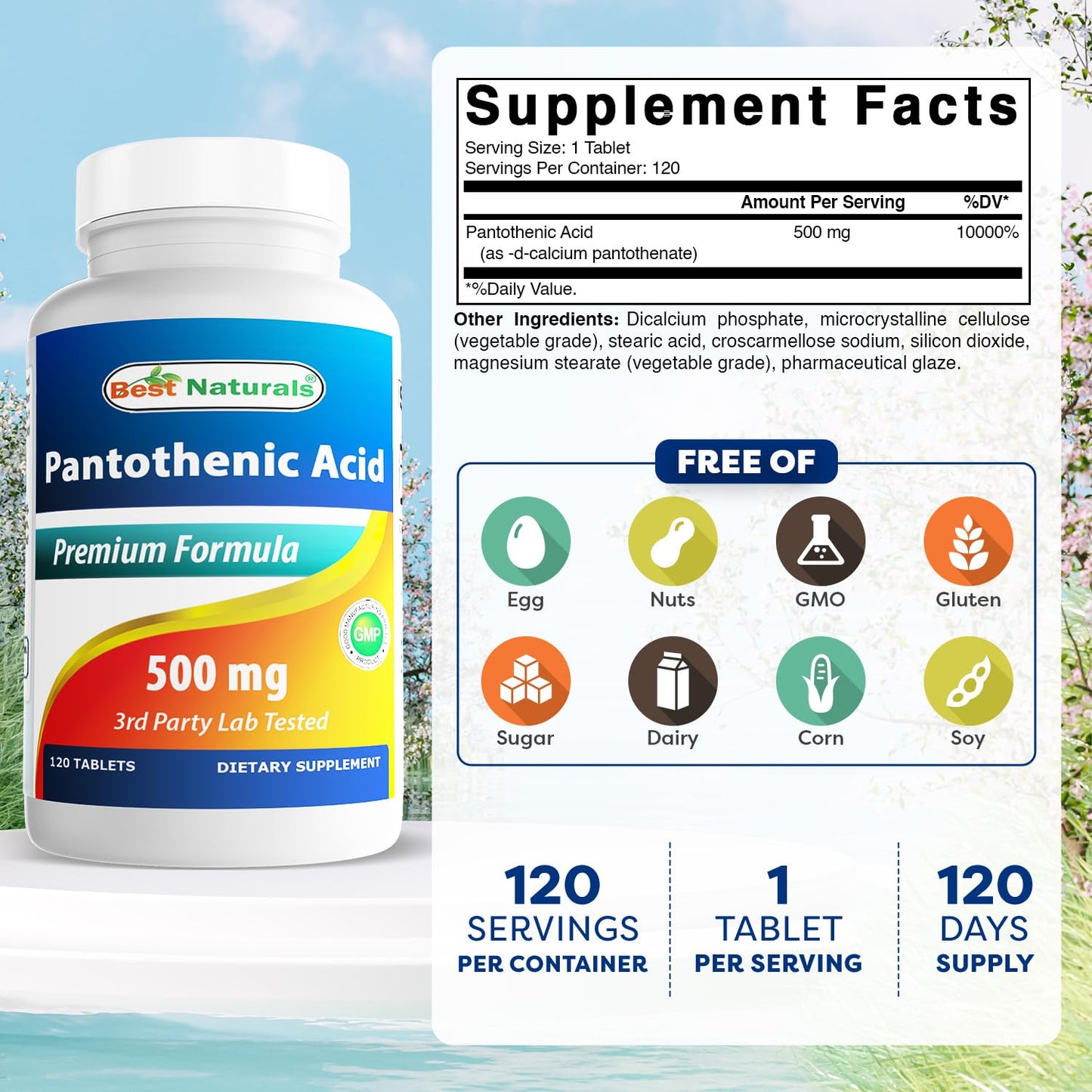 Best Naturals Pantothenic Acid 500 mg Tablet, 120 Count