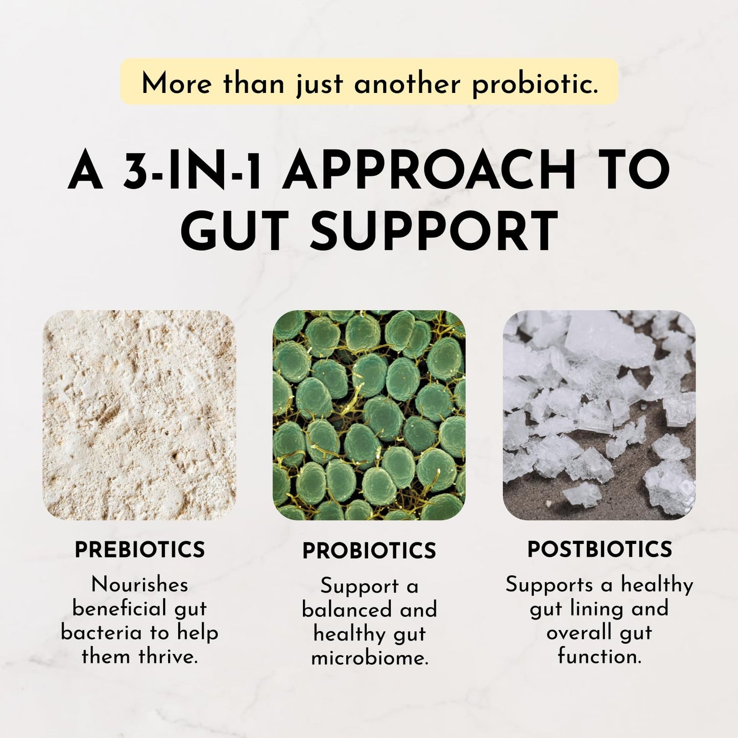 JUST INGREDIENTS Lemon Ginger Probiotic Complex Powder 5.4 Ounce