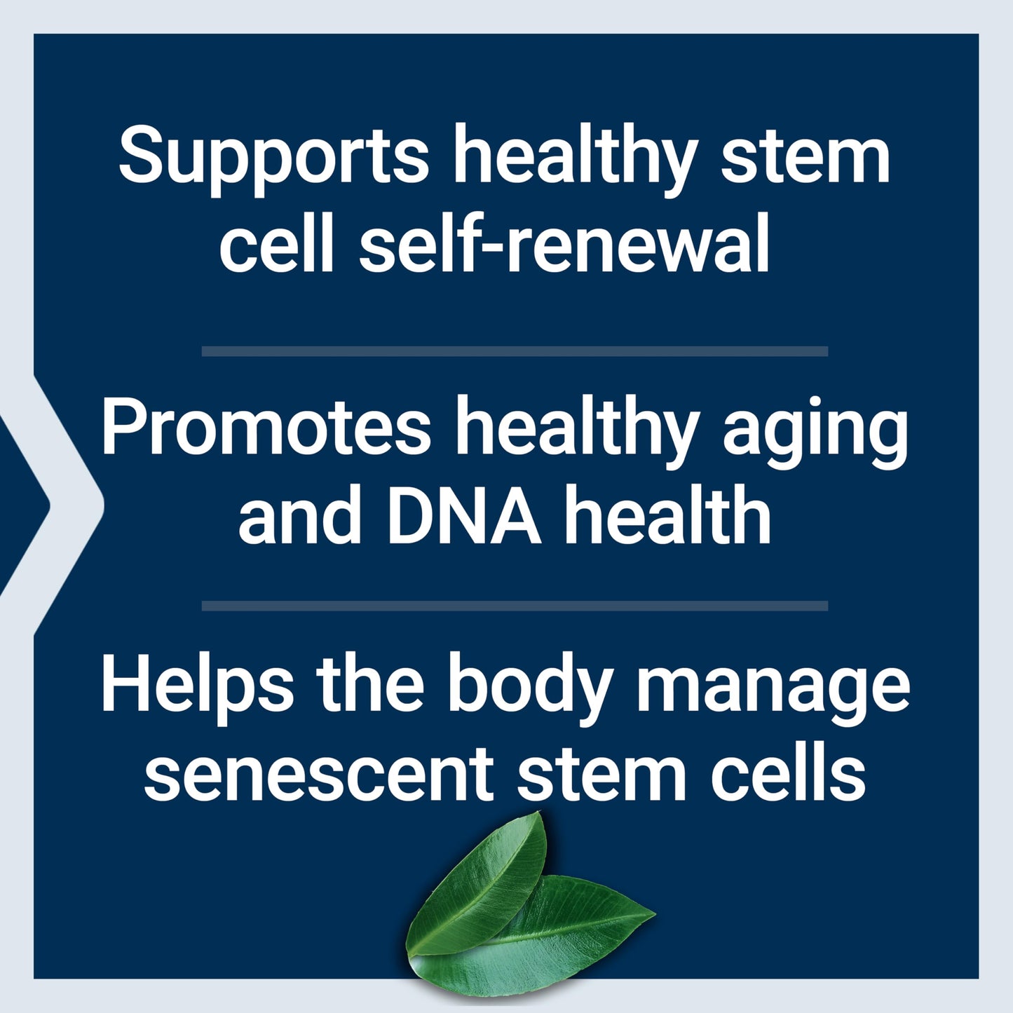 Life Extension GEROPROTECT® Stem Cell, 60 Capsules