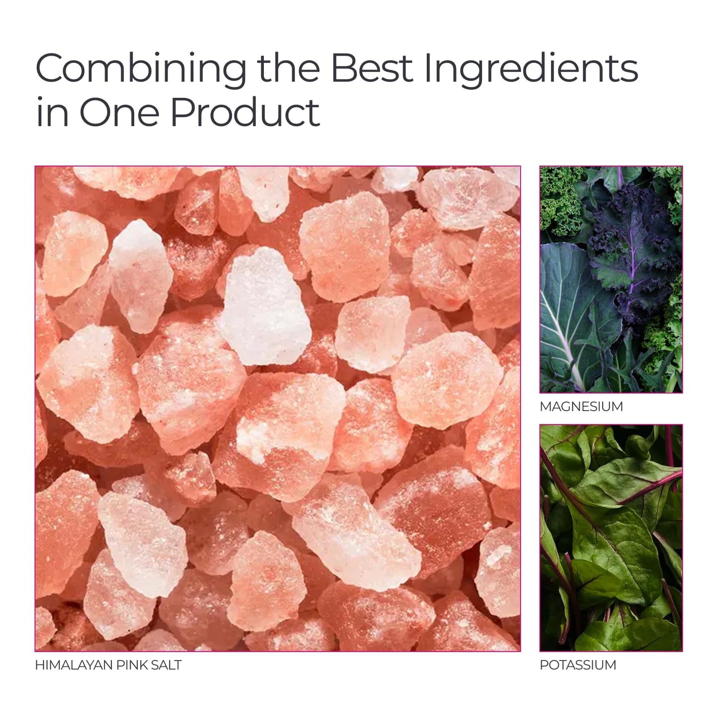 Livingood Daily Basic Electrolytes Powder 7.1 Ounce