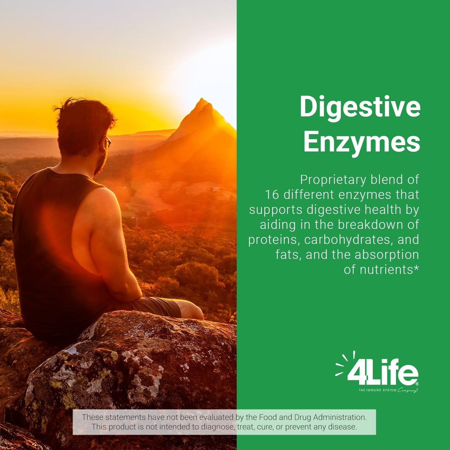 4Life Digest4Life Digestive Enzymes Gut Support Supplement Capsules, 90 Capsules