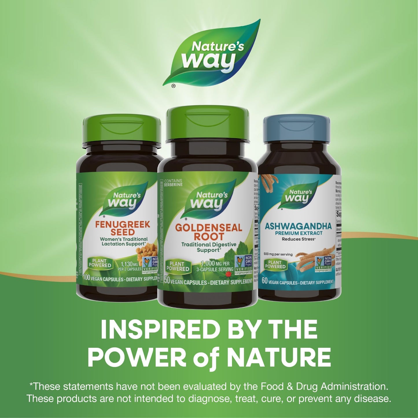 Nature's Way Goldenseal Root Capsule, 50 Count