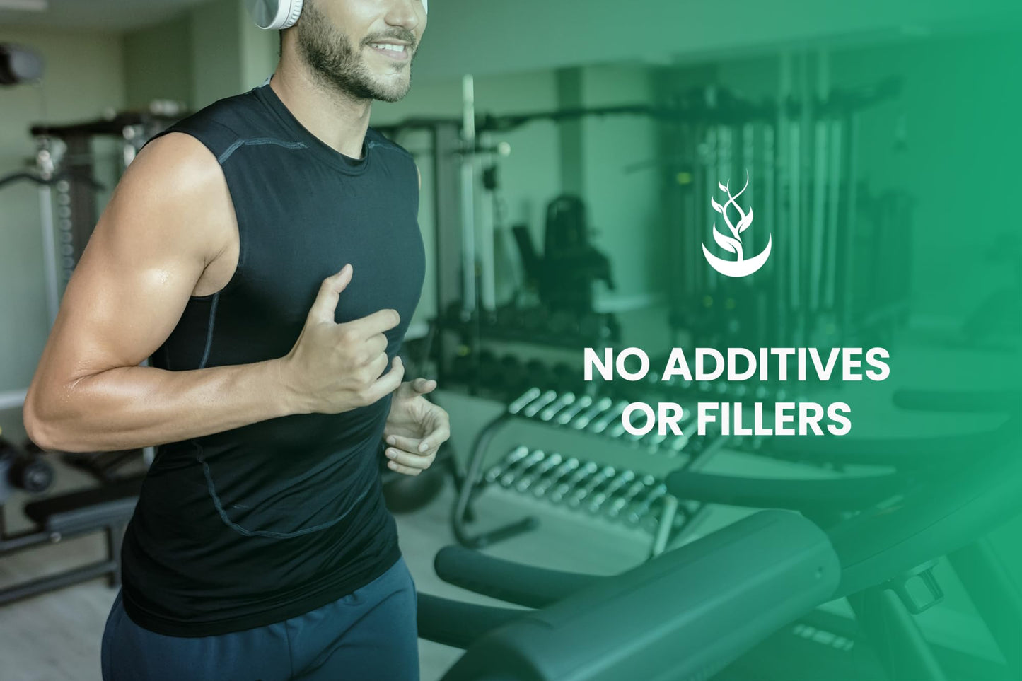 PURE ORIGINAL INGREDIENTS Peppermint Leaf Capsules 365