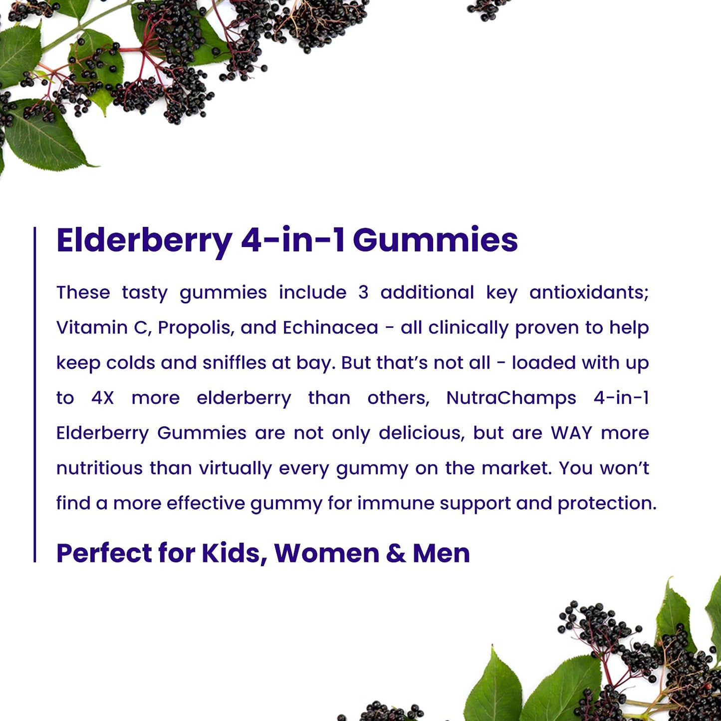 NutraChamps Elderberry Gummies with Vitamin C, Propolis & Echinacea, 60 Gummies