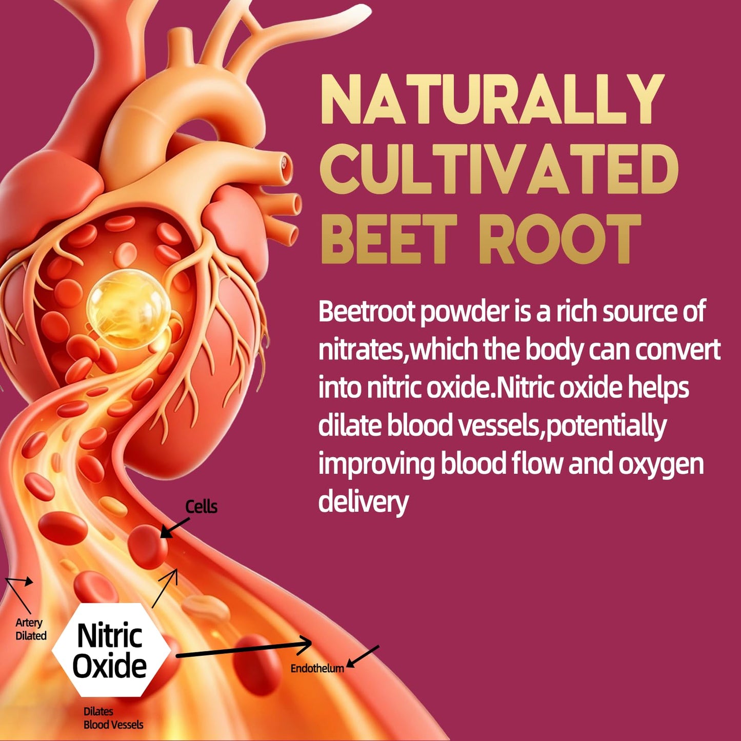 VPKIN Beet Root Capsules 2555mg for Nitric Oxide, Heart & Circulation, 120 Capsules