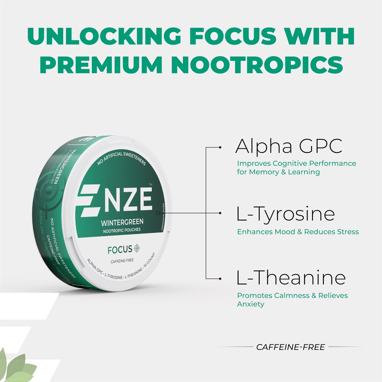 NZE Caffeine Free Nootropic Caplets with Alpha GPC, L-Tyrosine & L-Theanine, Wintergreen, 5 Caplets