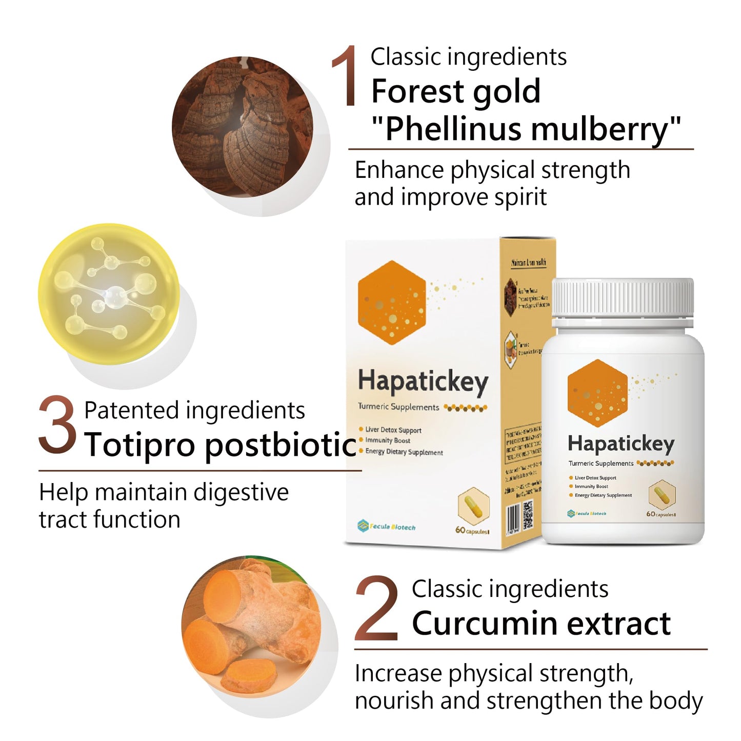 Fecula Biotech Turmeric Curcumin Supplements Capsule 60 Count
