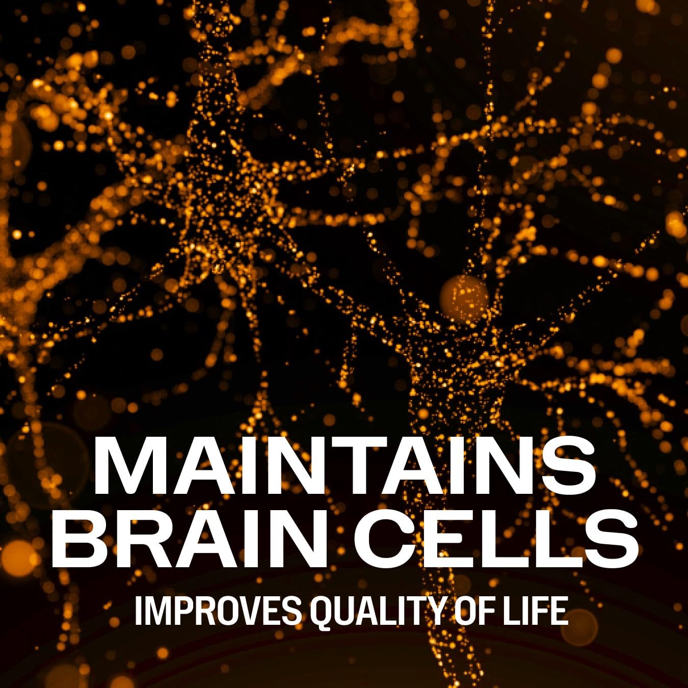 Vimergy Brain Body Memory Powder 1.6 Ounce