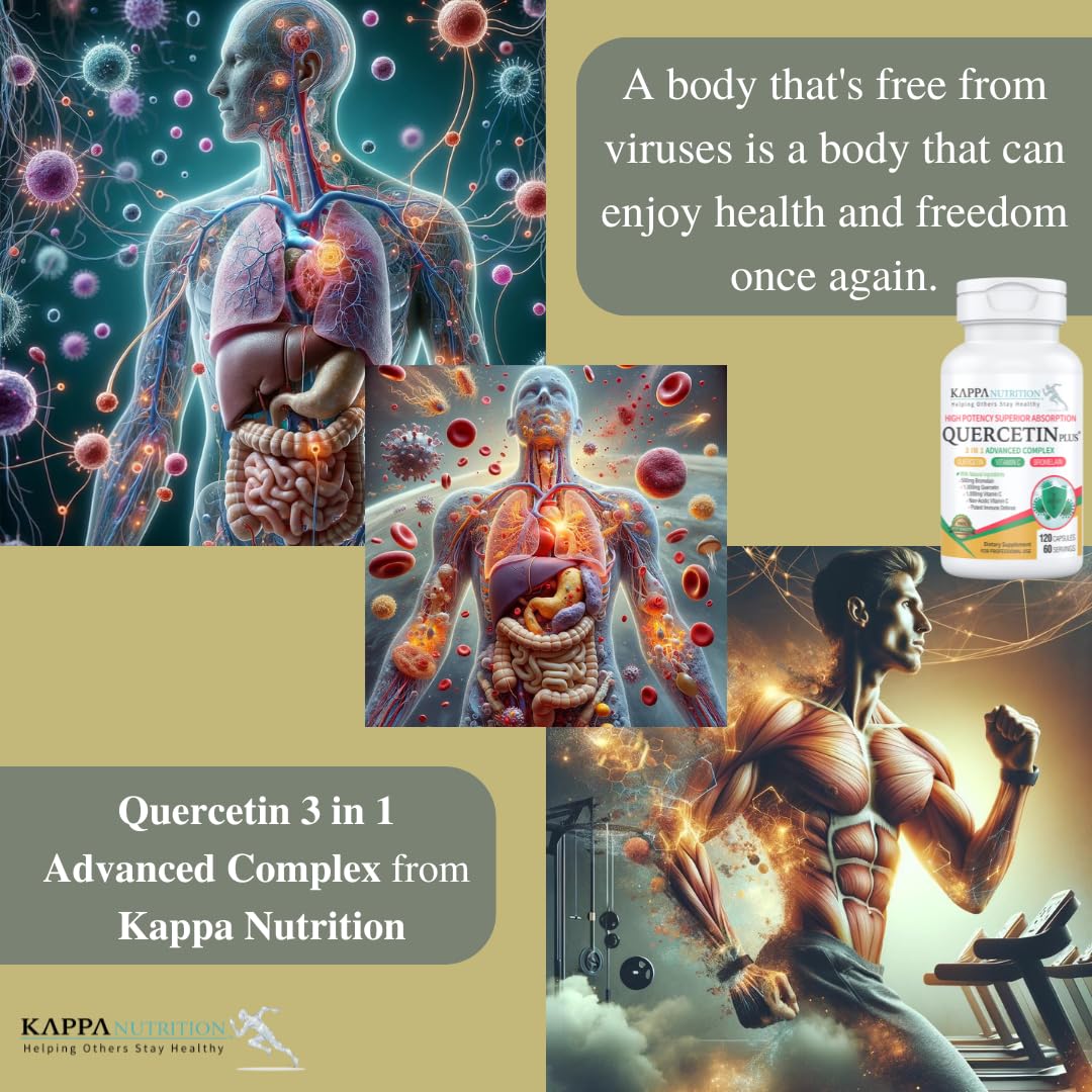 KAPPA NUTRITION Quercetin Plus Capsule 120 Count