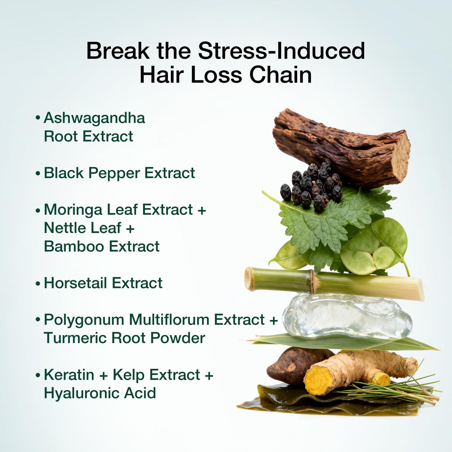 Hair Labs Biotin Boost 5000mcg Hair Growth Vitamins for Women with Saw Palmetto, Keratin & 8 Vitamins DHT Support Formula, Capsules, 60 Count