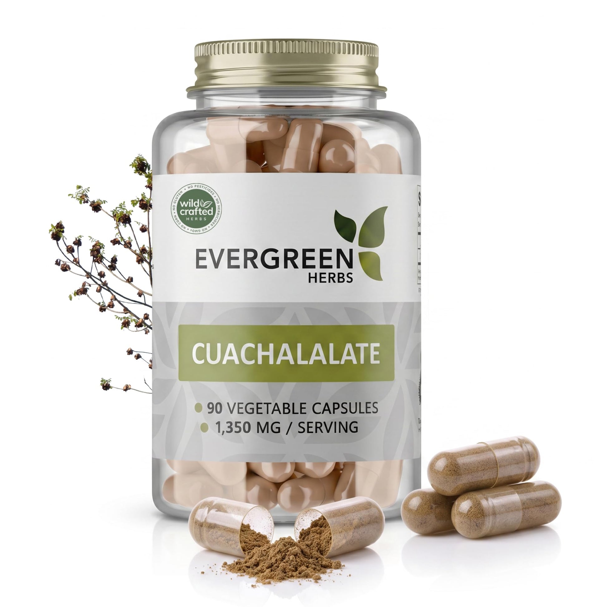Evergreen Herbs Cuachalalate Capsules 90 Count