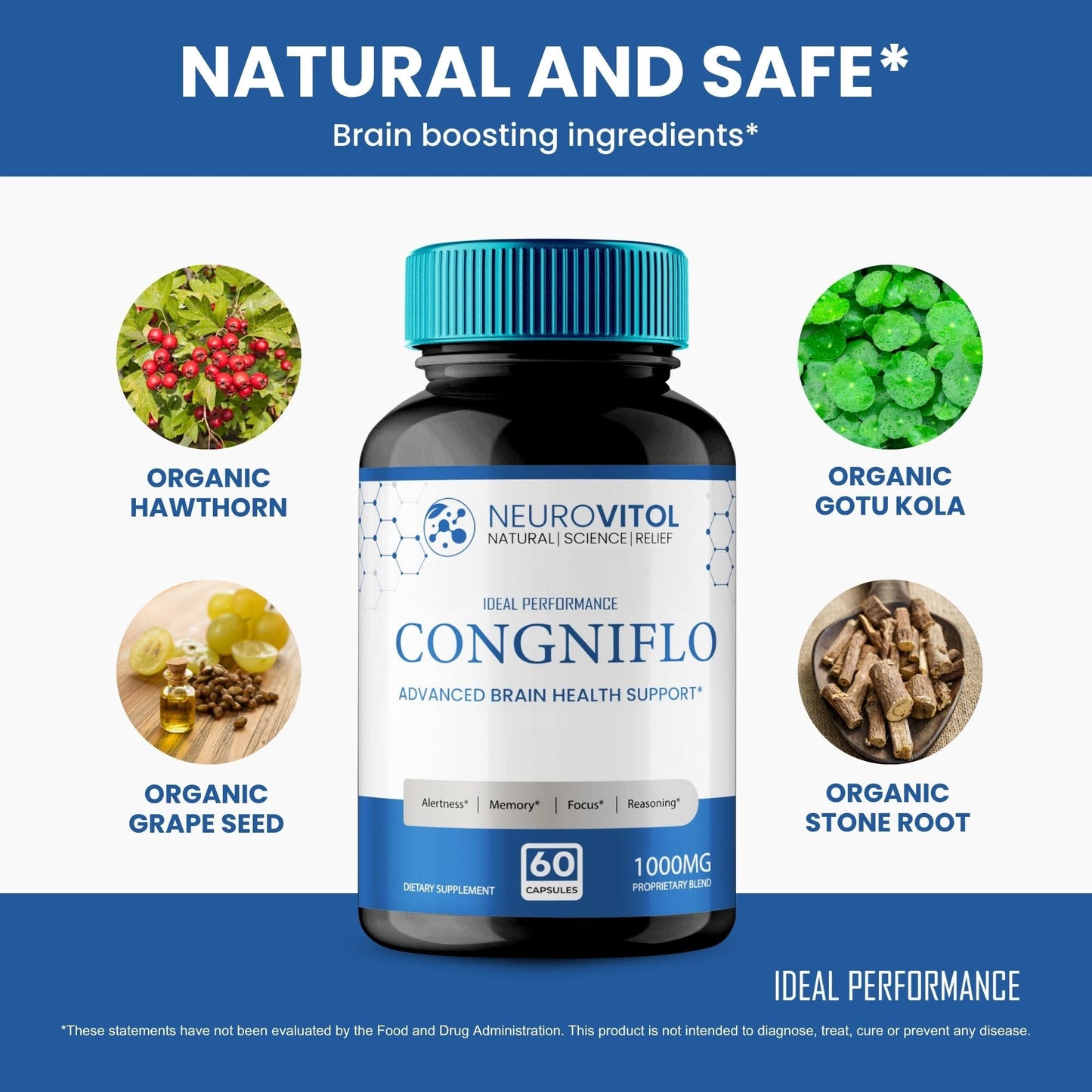 IDEAL PERFORMANCE NeuroVitol Cogniflo Capsules 180 Count