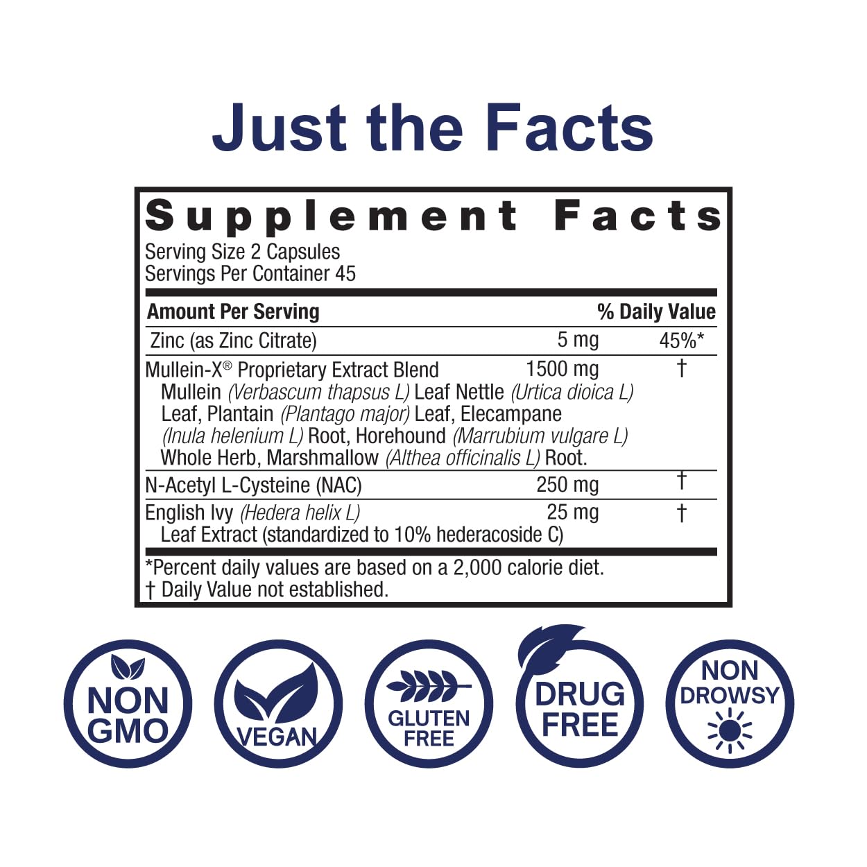 Nature's Answer MulleinX Respiratory, NAC & Zinc 90 Capsules
