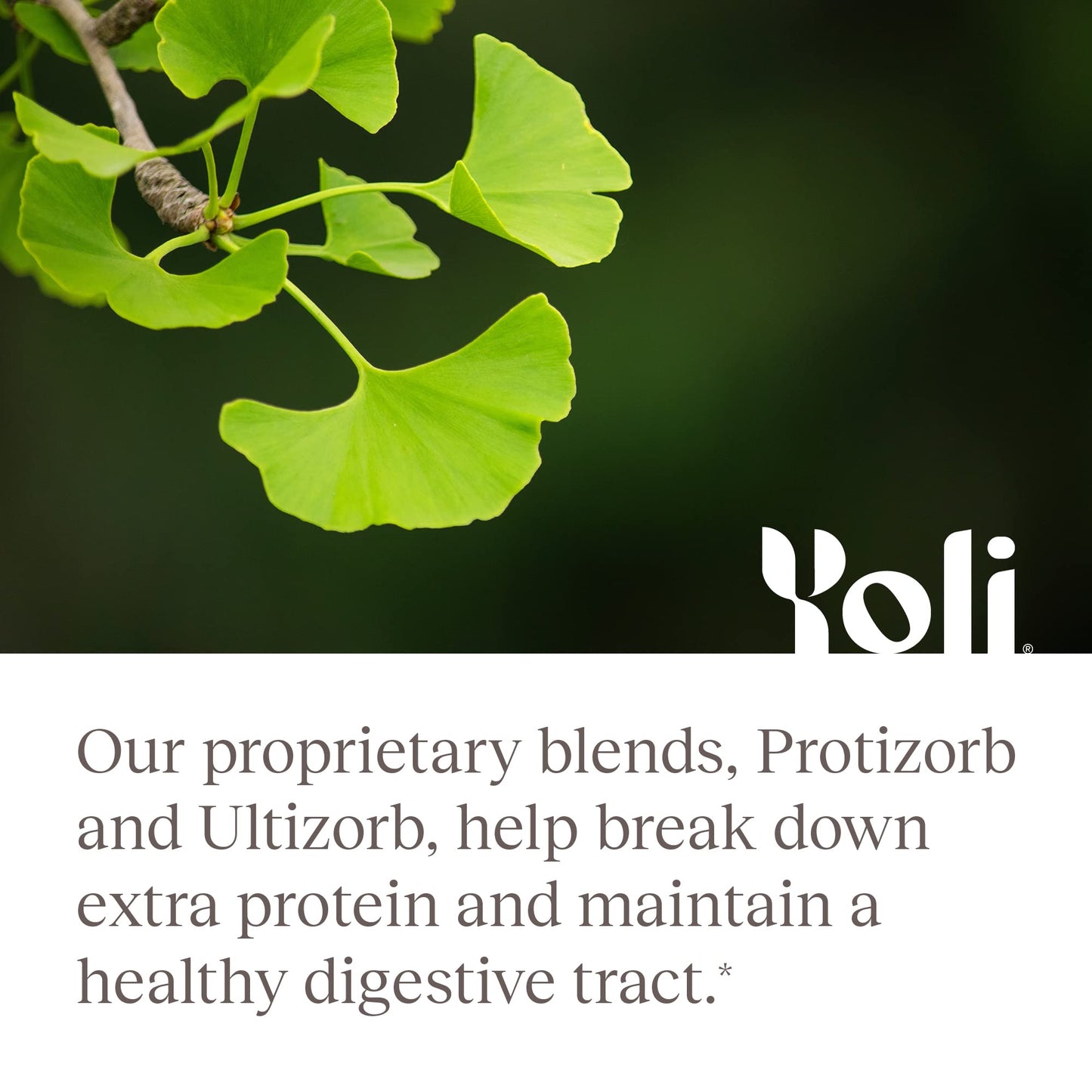 Yoli Enzyme Digestive Enzymes for Gut Health, Men and Women, Capsules, 60