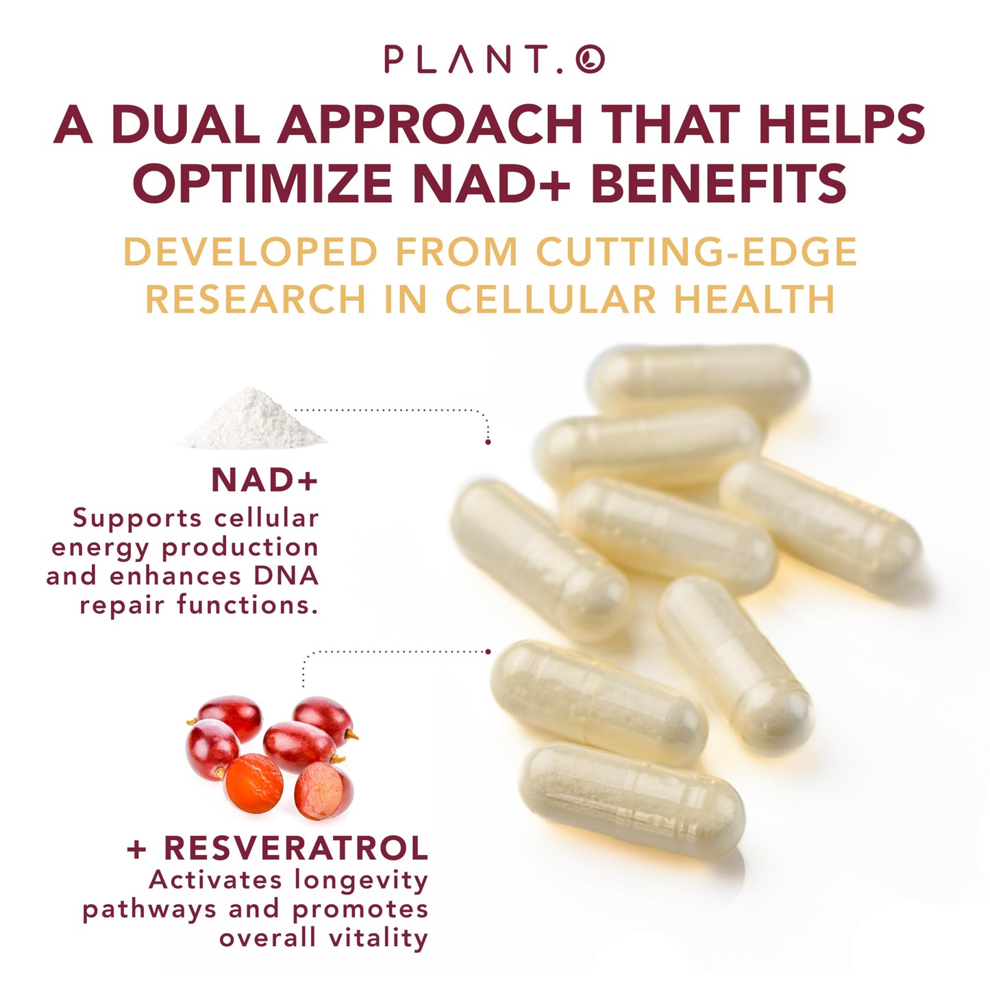 PLANT.O NUTRITION NAD Supplement High Purity NAD Plus with Resveratrol NMN and Nicotinamide Riboside Alternative 60 Capsules