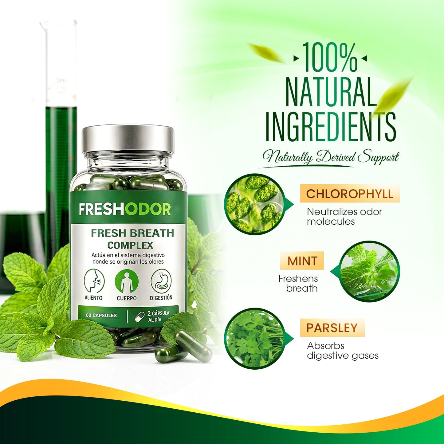 Ryurop Freshodor Fresh Breath Capsules with Chlorophyll, Peppermint & Parsley Blend – Supports Breath Freshness & Digestive Balance from Within, 60 Capsules