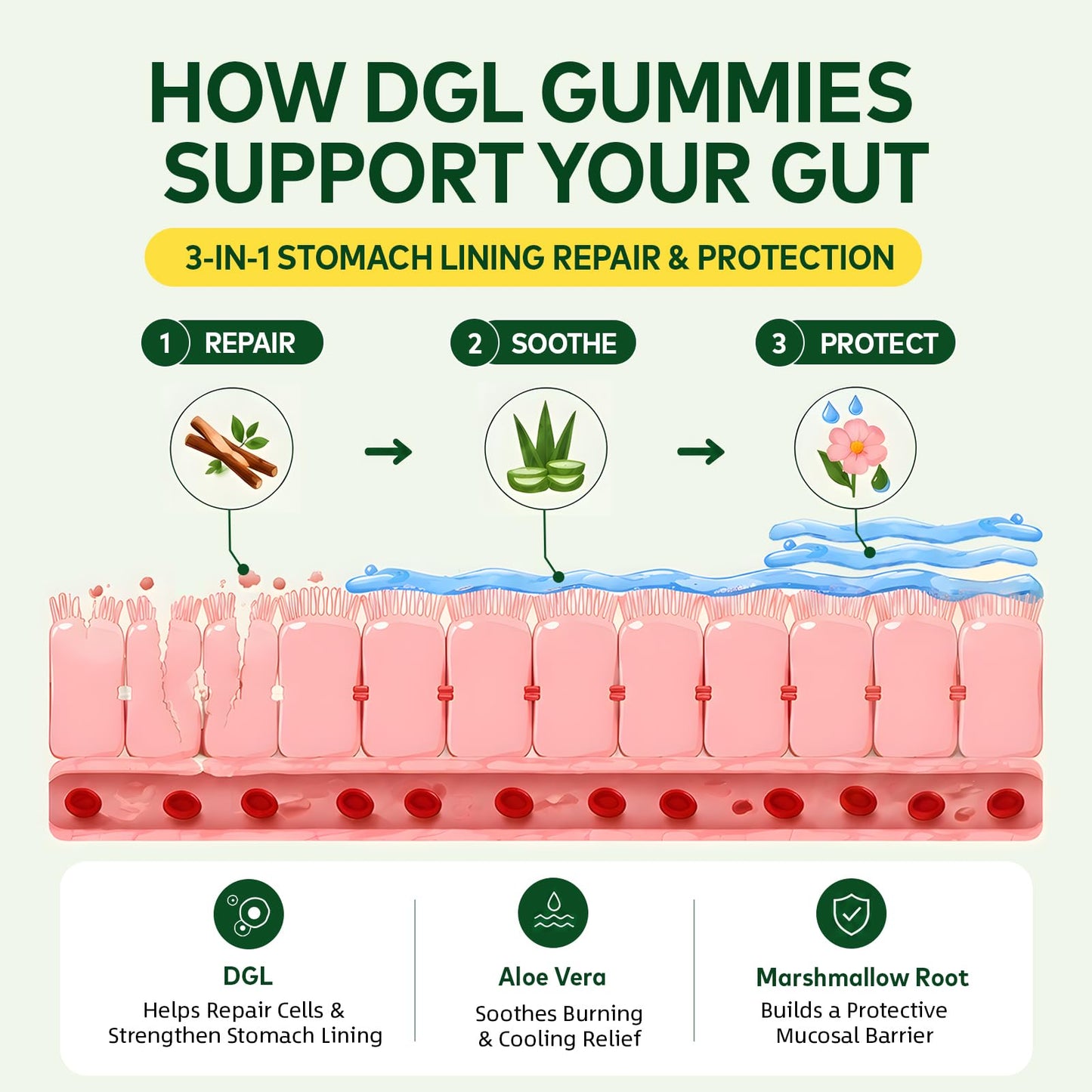 Novafun DGL Gummies Deglycyrrhizinated Licorice Supplement, 60 Count