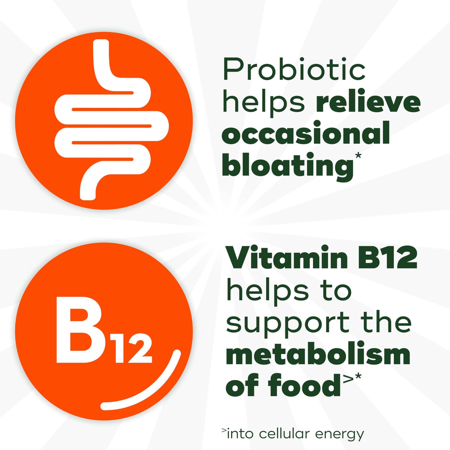 Align Probiotic Bloating Relief + Food Digestion with Vitamin B12 Gummies 120