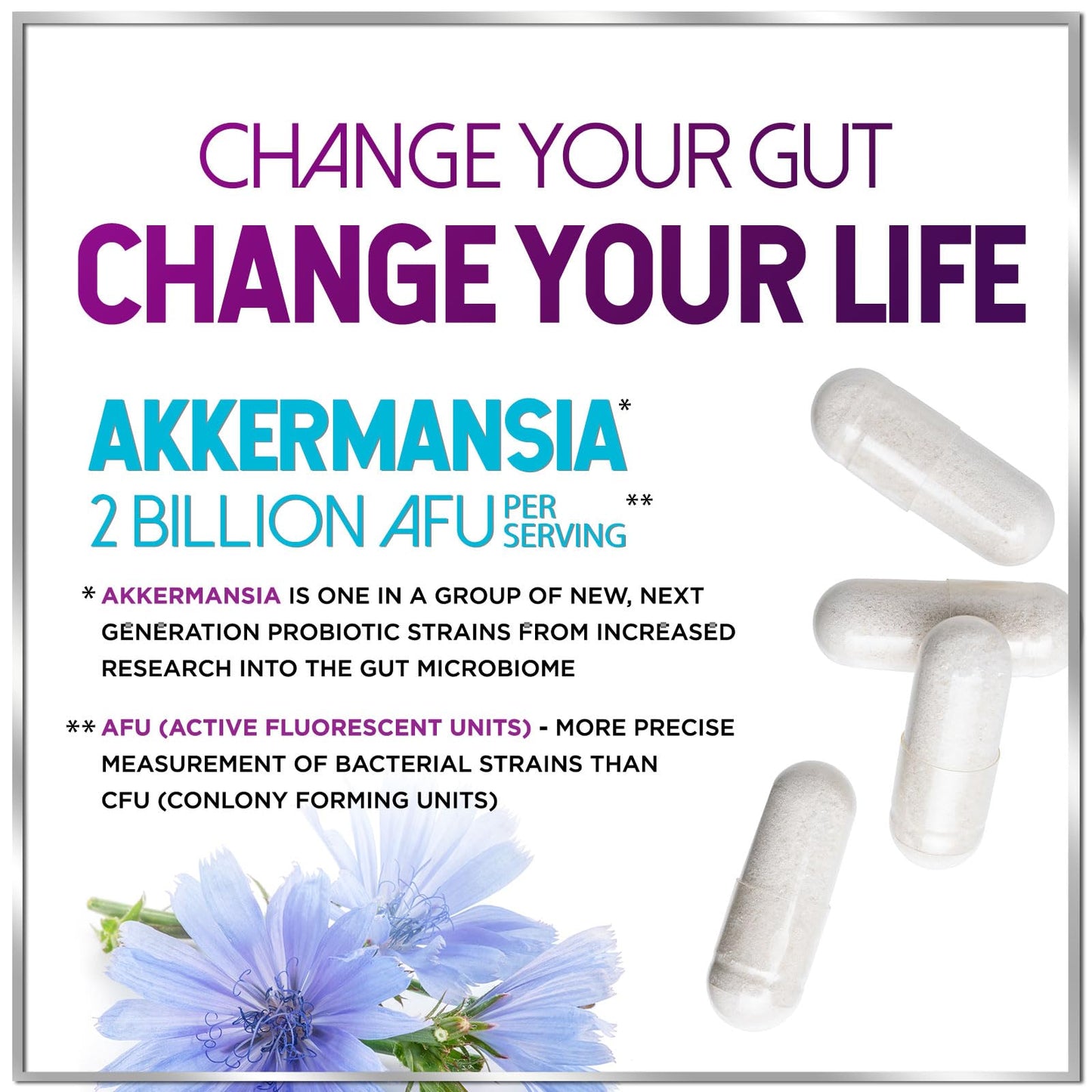 Hello Lovely! Akkermansia Probiotic Capsule, 60 Count