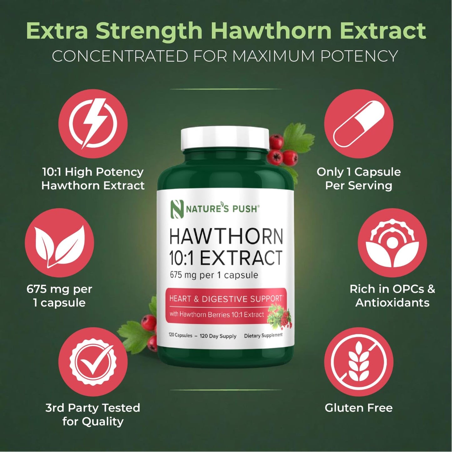 Nature's Push Hawthorn Berry 10:1 Extract 675mg Capsules, 60 Count
