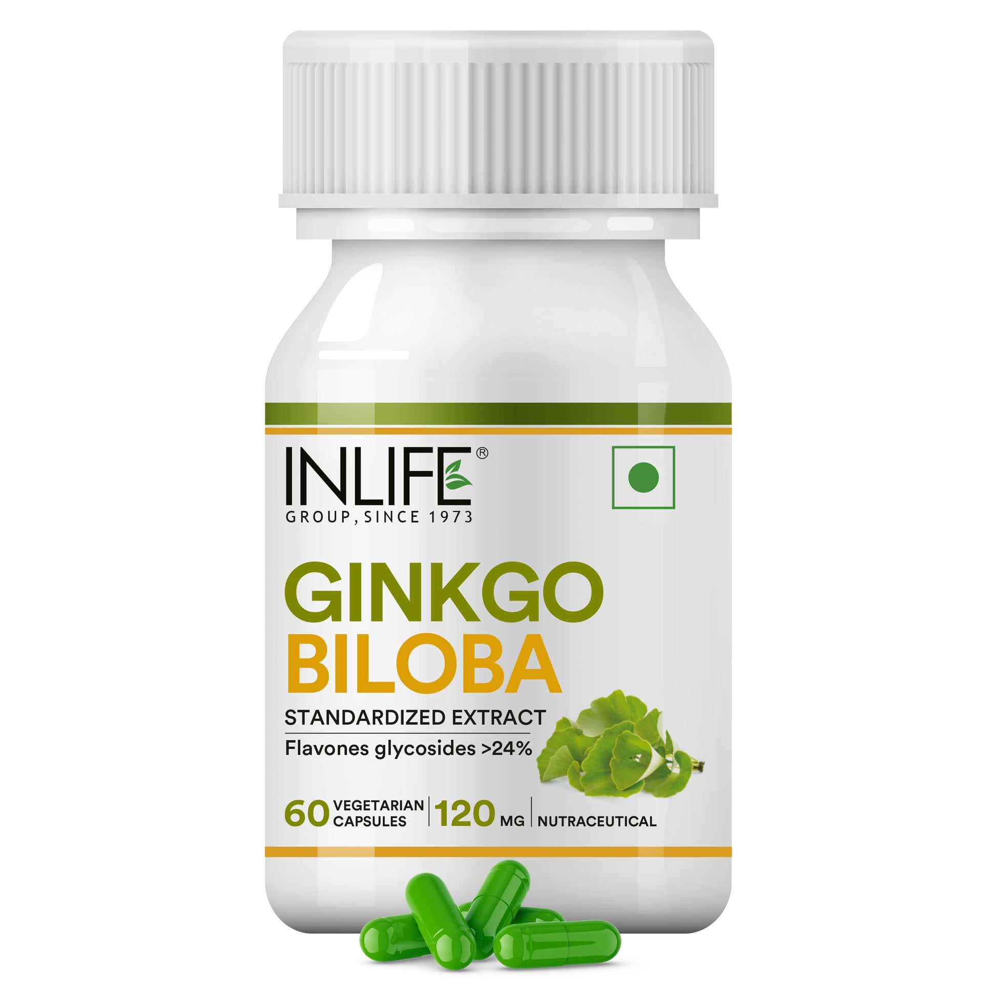 INLIFE Ginkgo Biloba Extract 120mg Capsules, 1 Count