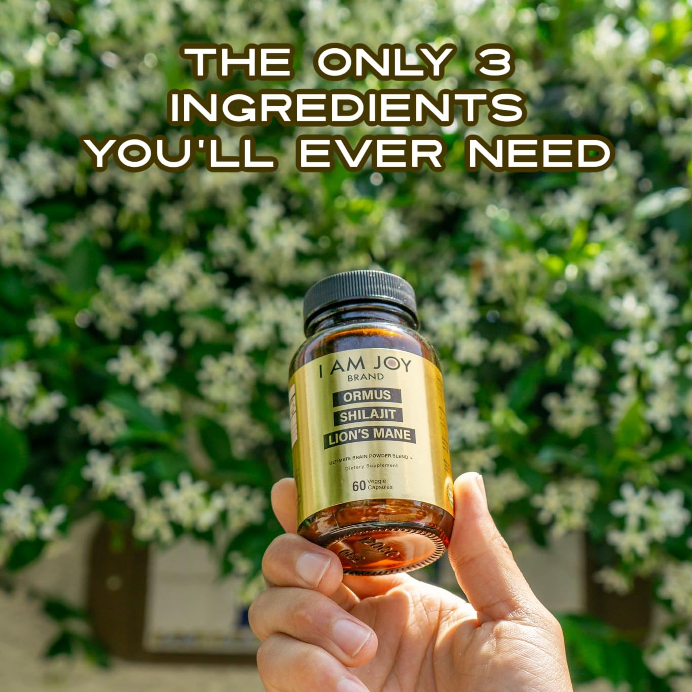 I Am Joy co. Ormus Shilajit Lion's Mane - Ultimate Brain Power! Monoatomic 24k Gold - The Only Blend of Its Kind for Energy, Memory, & Focus - 60 Vegan Capsules
