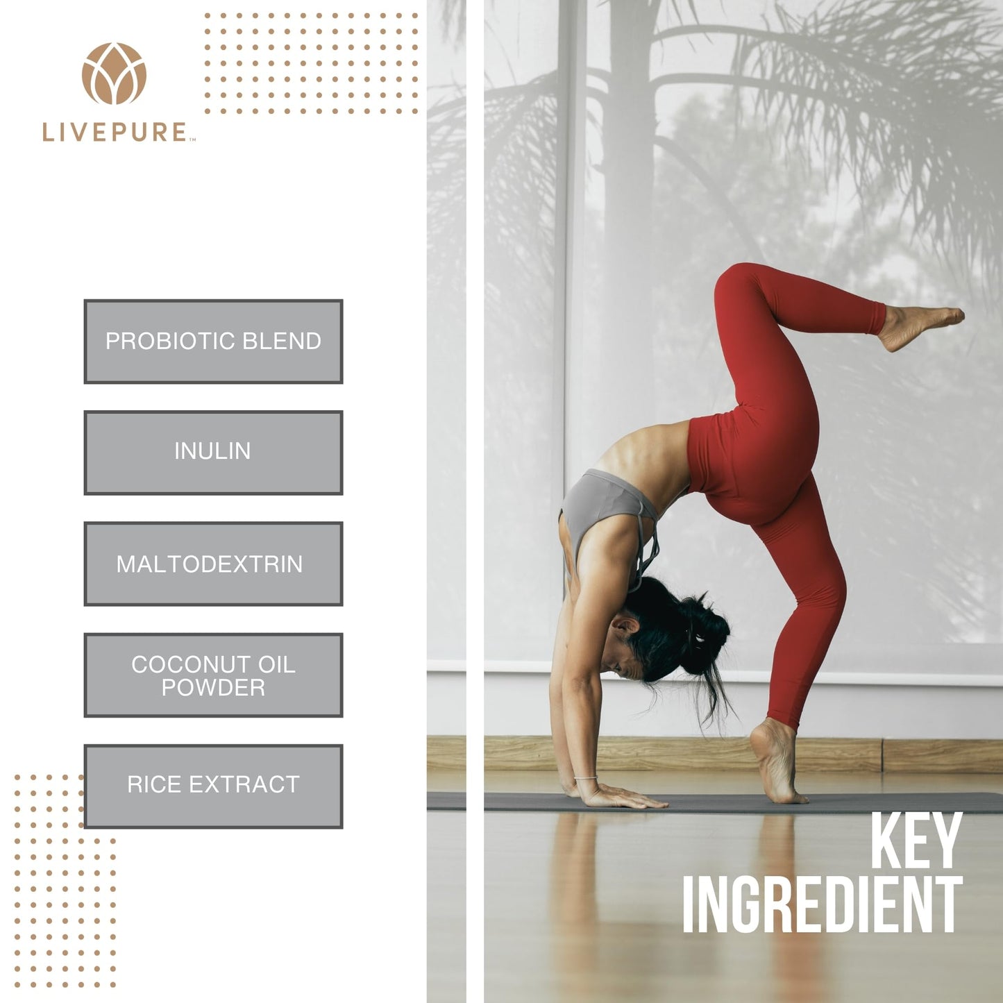 PURE Probiotic Controlled-Release Technology, 60 Vegan Capsules