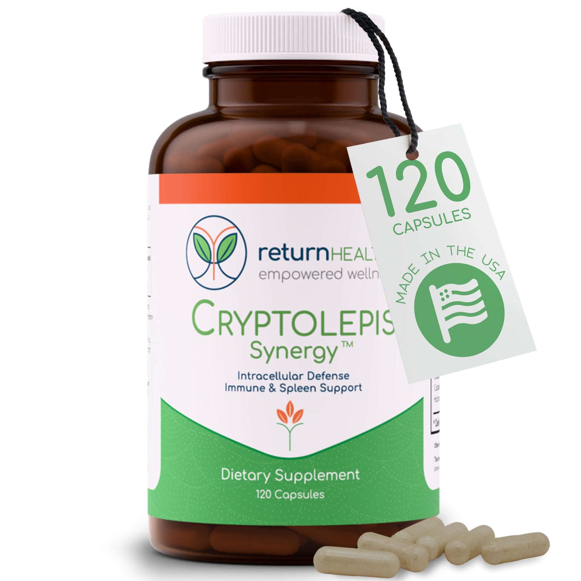 Return Healthy Cryptolepis Synergy Immune Support, 120 Capsules