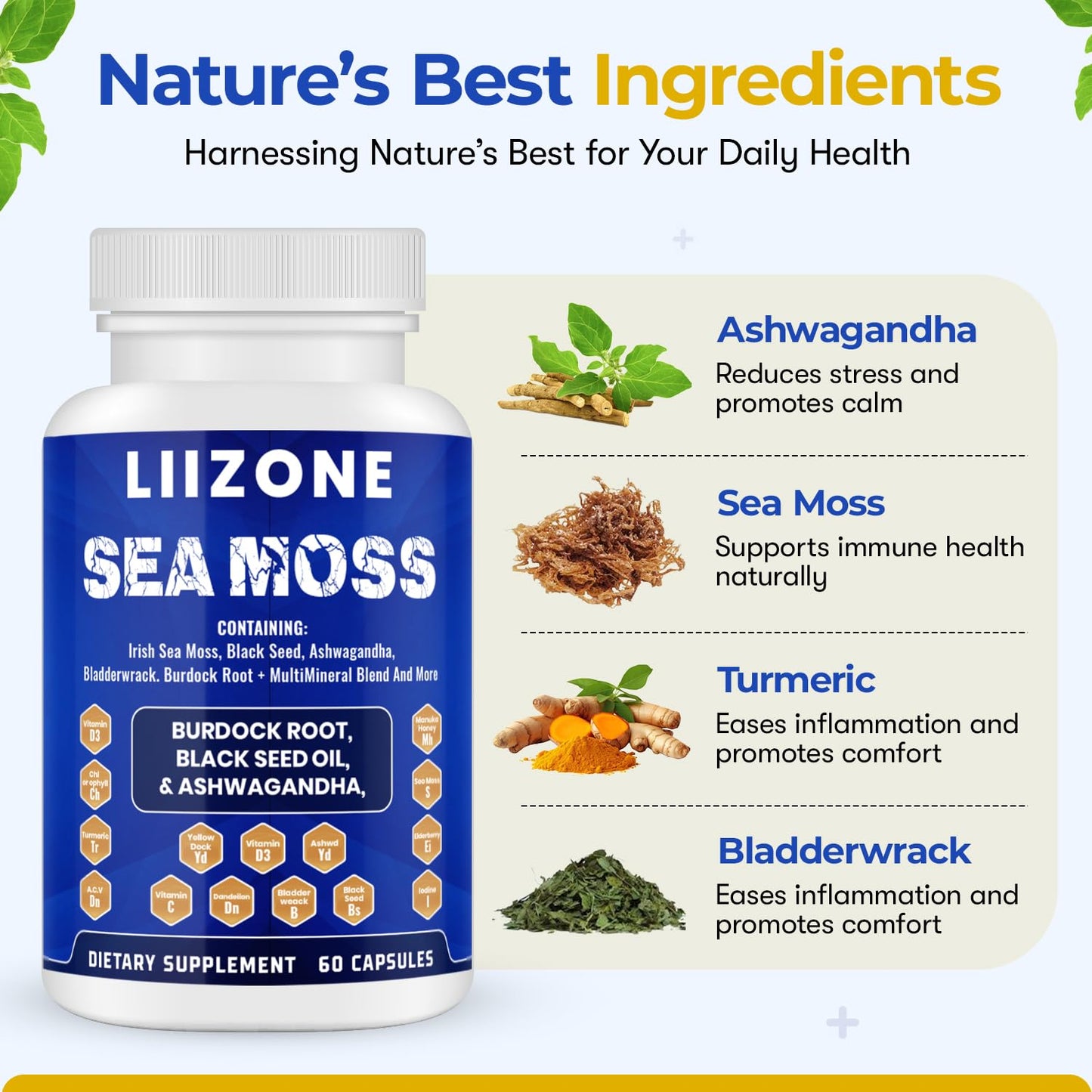 LIIZONE Complex Sea Moss Capsules with Ashwagandha, Turmeric & Vitamin C and Black Seed Oil Capsules for Immune Support, Joint & Gut Health, 60 Count Capsules