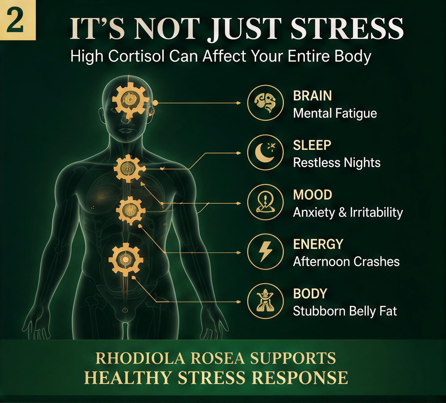 Soluma Rhodiola Rosea Extract Supplement, 90 Capsules